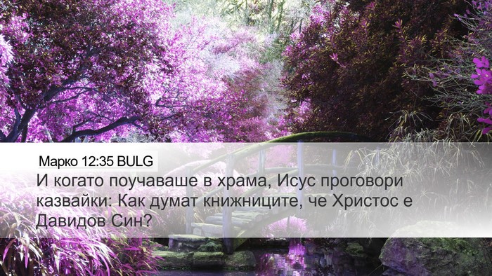 Марко 12:35 BULG Bible Verse Image