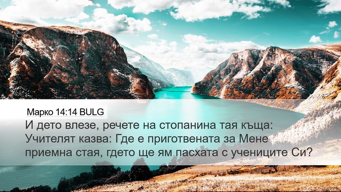 Марко 14:14 BULG Desktop Wallpaper - И дето влезе, речете на - Desktop Bible Verse Wallpaper