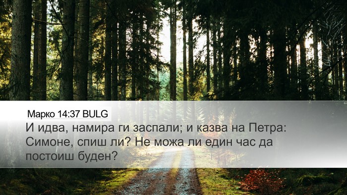 Марко 14:37 BULG Bible Verse Image