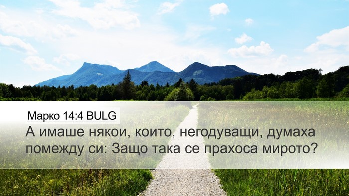 Марко 14:4 BULG Bible Verse Image