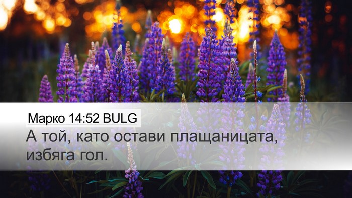 Марко 14:52 BULG Bible Verse Image