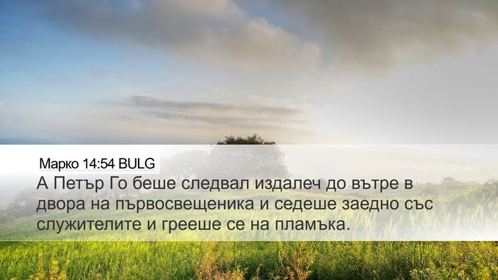 Марко 14:54 BULG Bible Verse Image