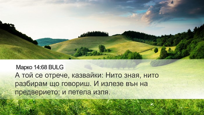 Марко 14:68 BULG Bible Verse Image