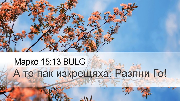 Марко 15:13 BULG Bible Verse Image