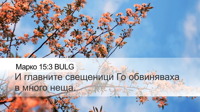 Марко 15:3 BULG Bible Verse Image