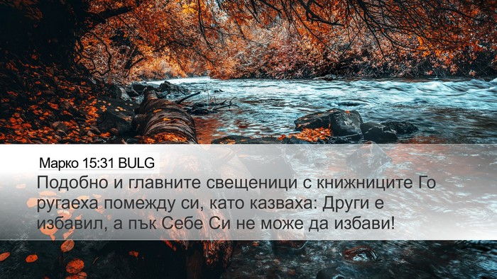 Марко 15:31 BULG Bible Verse Image