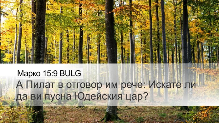 Марко 15:9 BULG Bible Verse Image