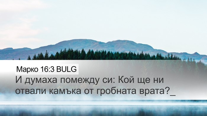 Марко 16:3 BULG Bible Verse Image