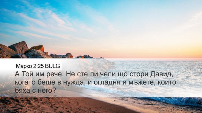 Марко 2:25 BULG Bible Verse Image