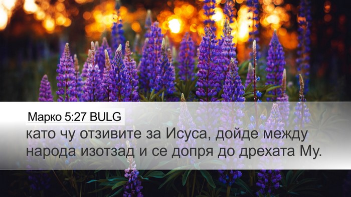 Марко 5:27 BULG Bible Verse Image