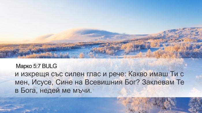 Марко 5:7 BULG Bible Verse Image