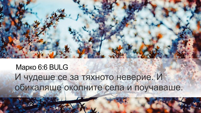 Марко 6:6 BULG Bible Verse Image
