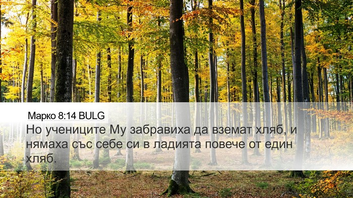 Марко 8:14 BULG Desktop Wallpaper - Но учениците Му забравиха - Desktop Bible Verse Wallpaper