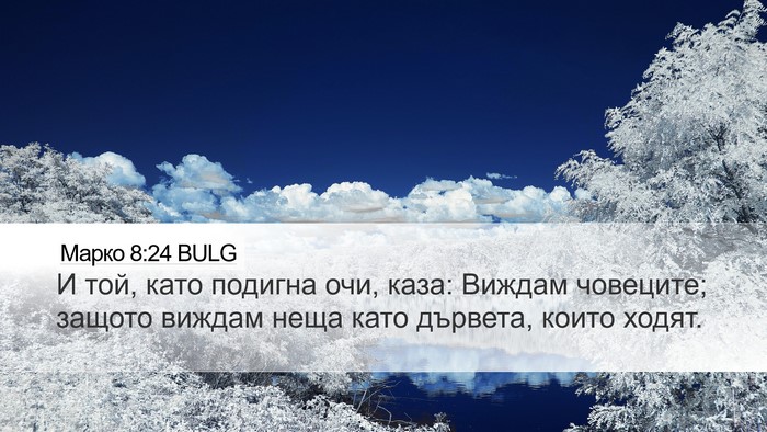 Марко 8:24 BULG Desktop Wallpaper - И той, като подигна очи, - Desktop Bible Verse Wallpaper