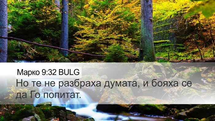 Марко 9:32 BULG Bible Verse Image