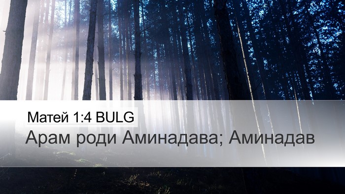 Матей 1:4 BULG Bible Verse Image