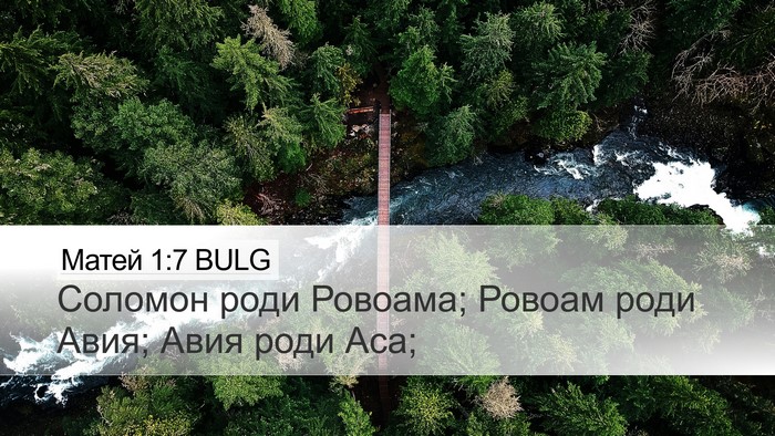 Матей 1:7 BULG Bible Verse Image