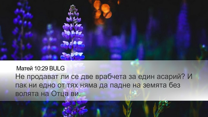 Матей 10:29 BULG Bible Verse Image