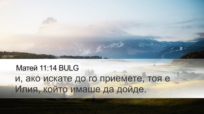 Матей 11:14 BULG Bible Verse Image