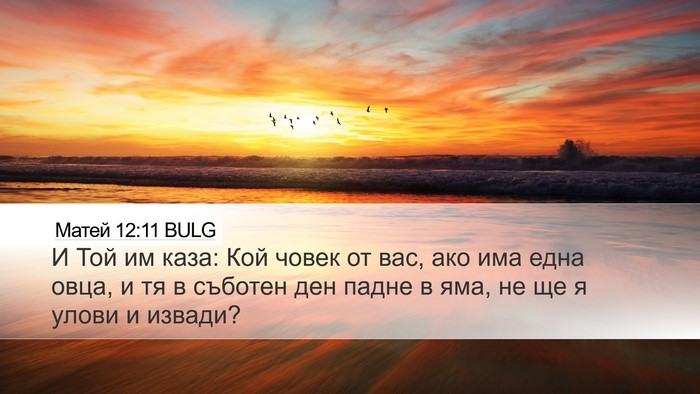 Матей 12:11 BULG Desktop Wallpaper - И Той им каза: Кой човек от - Desktop Bible Verse Wallpaper