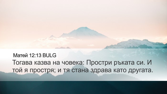 Матей 12:13 BULG Desktop Wallpaper - Тогава казва на човека: - Desktop Bible Verse Wallpaper