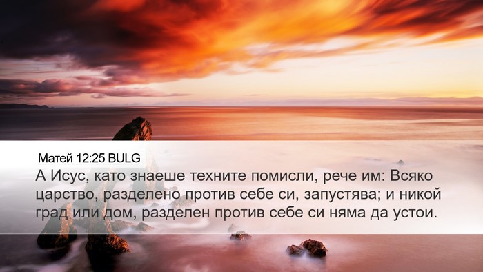 Матей 12:25 BULG Bible Verse Image