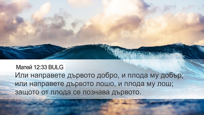 Матей 12:33 BULG Bible Verse Image