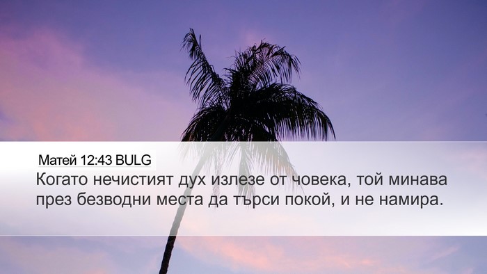 Матей 12:43 BULG Bible Verse Image