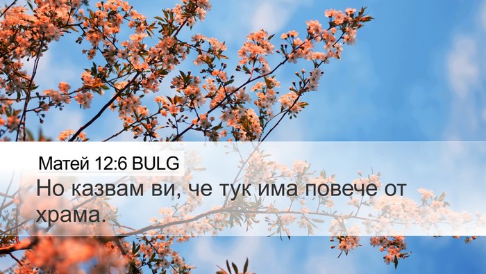 Матей 12:6 BULG Bible Verse Image