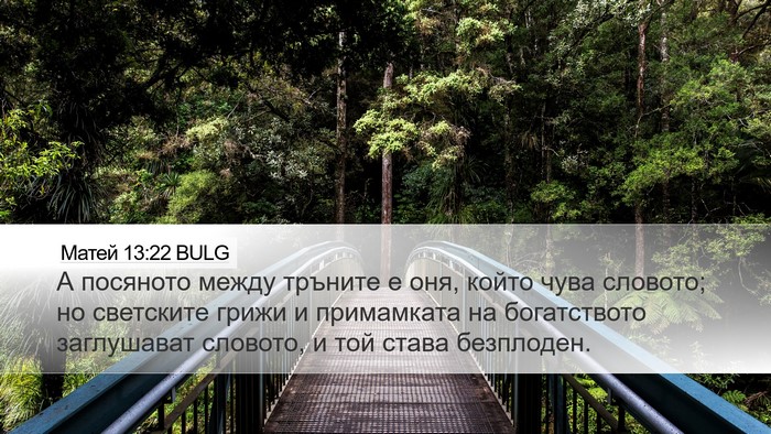 Матей 13:22 BULG Bible Verse Image