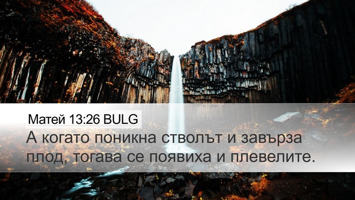 Матей 13:26 BULG Desktop Wallpaper - А когато поникна стволът и - Desktop Bible Verse Wallpaper