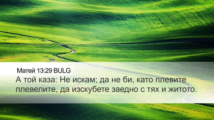 Матей 13:29 BULG Desktop Wallpaper - А той каза: Не искам; да не - Desktop Bible Verse Wallpaper