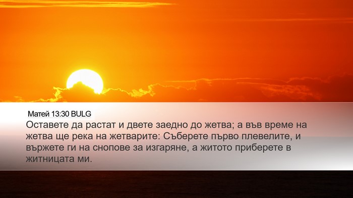Матей 13:30 BULG Bible Verse Image
