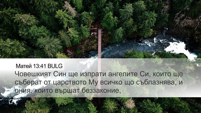 Матей 13:41 BULG Bible Verse Image