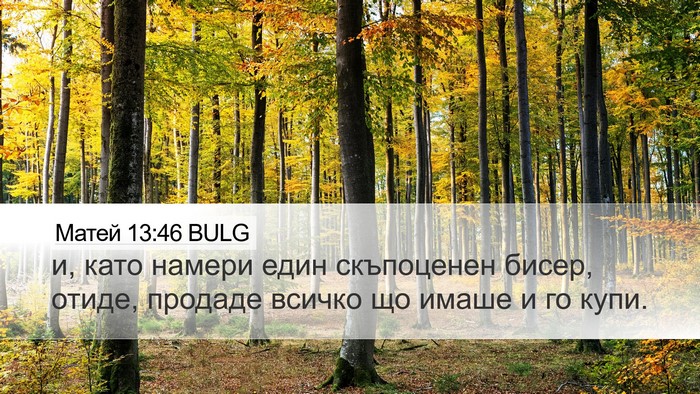 Матей 13:46 BULG Desktop Wallpaper - и, като намери един - Desktop Bible Verse Wallpaper