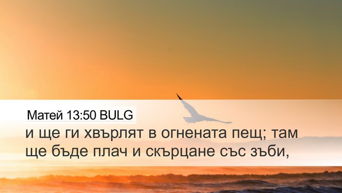 Матей 13:50 BULG Bible Verse Image