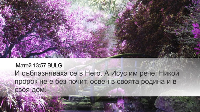Матей 13:57 BULG Bible Verse Image
