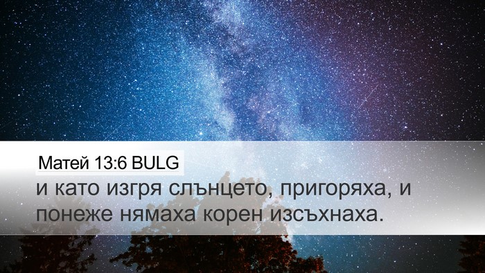 Матей 13:6 BULG Desktop Wallpaper - и като изгря слънцето, - Desktop Bible Verse Wallpaper