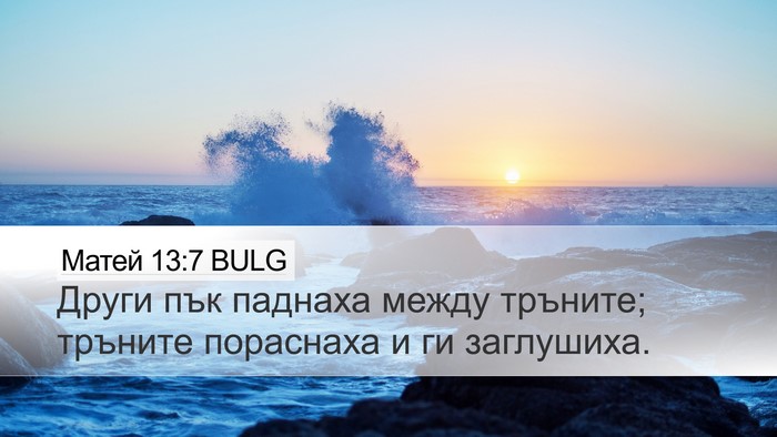 Матей 13:7 BULG Desktop Wallpaper - Други пък паднаха между - Desktop Bible Verse Wallpaper