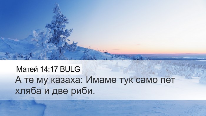 Матей 14:17 BULG Bible Verse Image