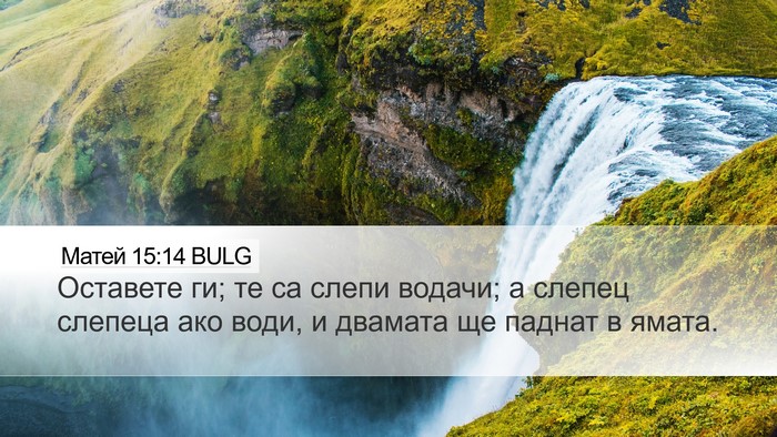 Матей 15:14 BULG Bible Verse Image