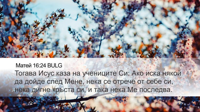 Матей 16:24 BULG Bible Verse Image
