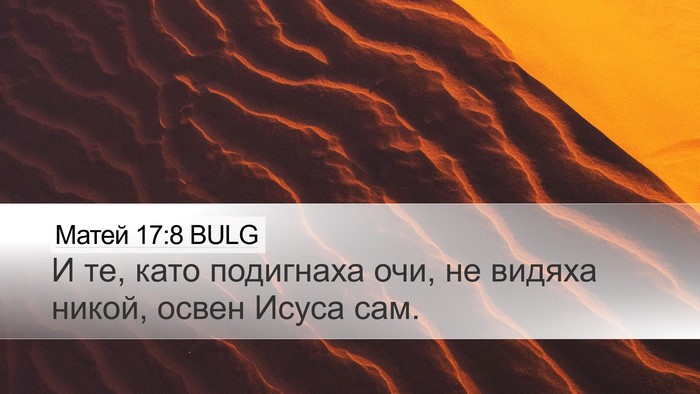 Матей 17:8 BULG Desktop Wallpaper - И те, като подигнаха очи, не - Desktop Bible Verse Wallpaper