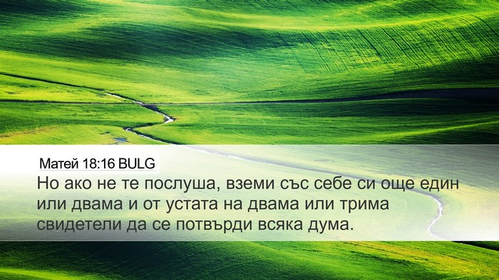 Матей 18:16 BULG Desktop Wallpaper - Но ако не те послуша, вземи - Desktop Bible Verse Wallpaper