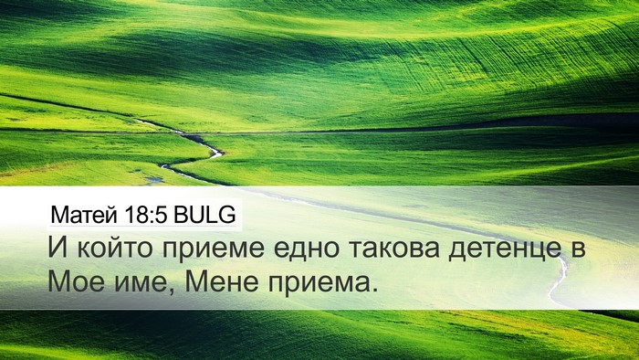 Матей 18:5 BULG Bible Verse Image