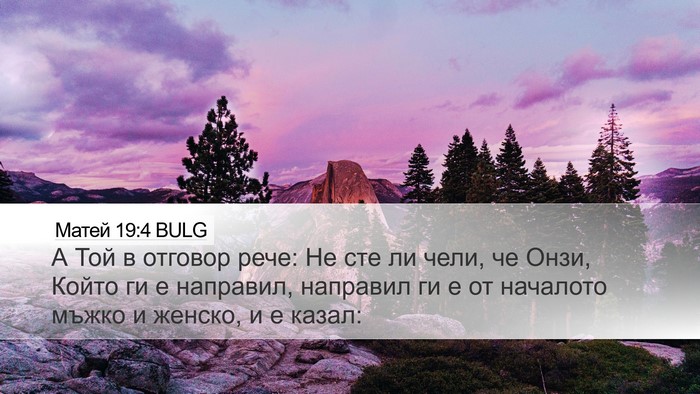 Матей 19:4 BULG Bible Verse Image