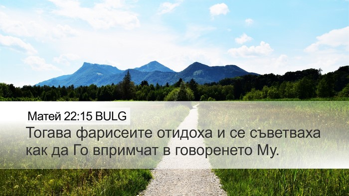 Матей 22:15 BULG Bible Verse Image