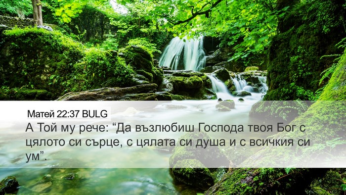 Матей 22:37 BULG Bible Verse Image