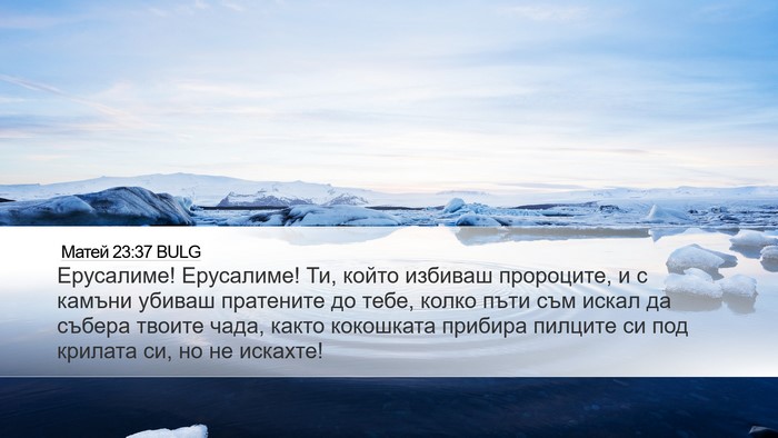 Матей 23:37 BULG Bible Verse Image