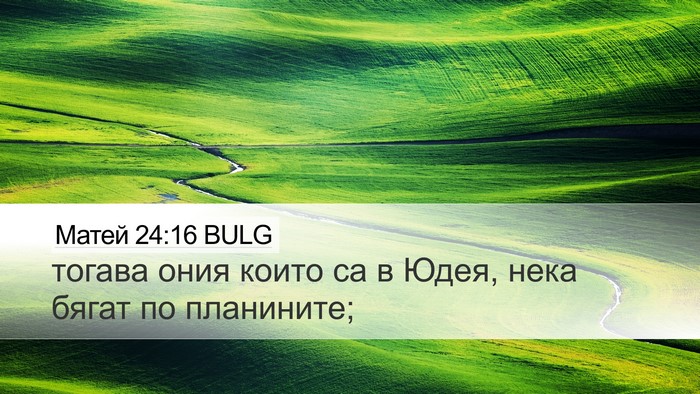 Матей 24:16 BULG Bible Verse Image
